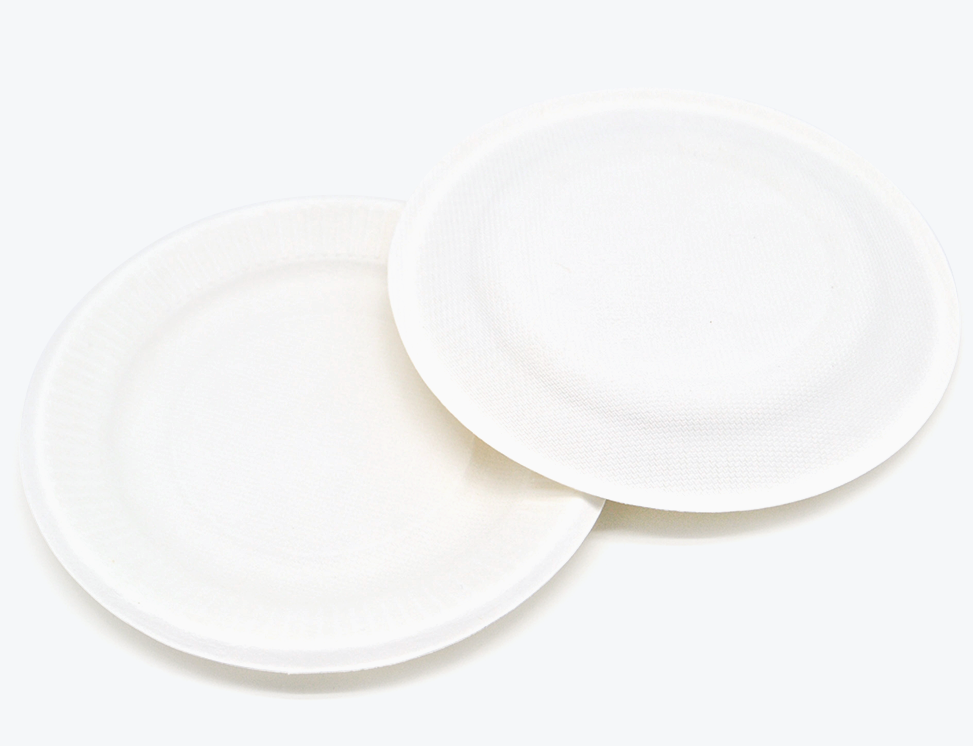 6" Round Plate