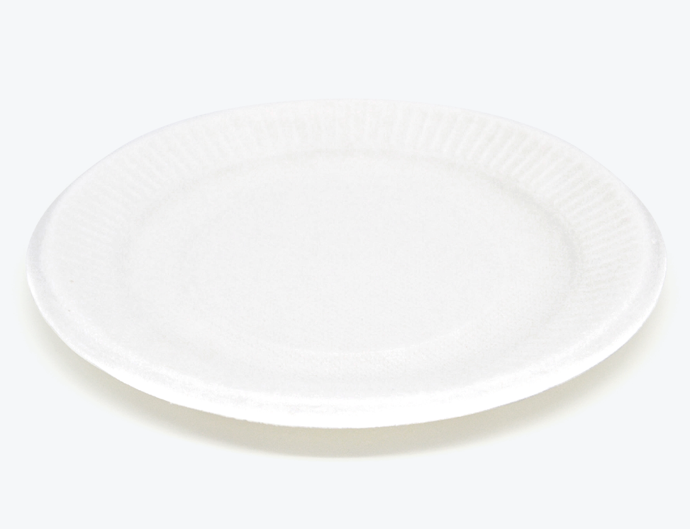 6" Round Plate