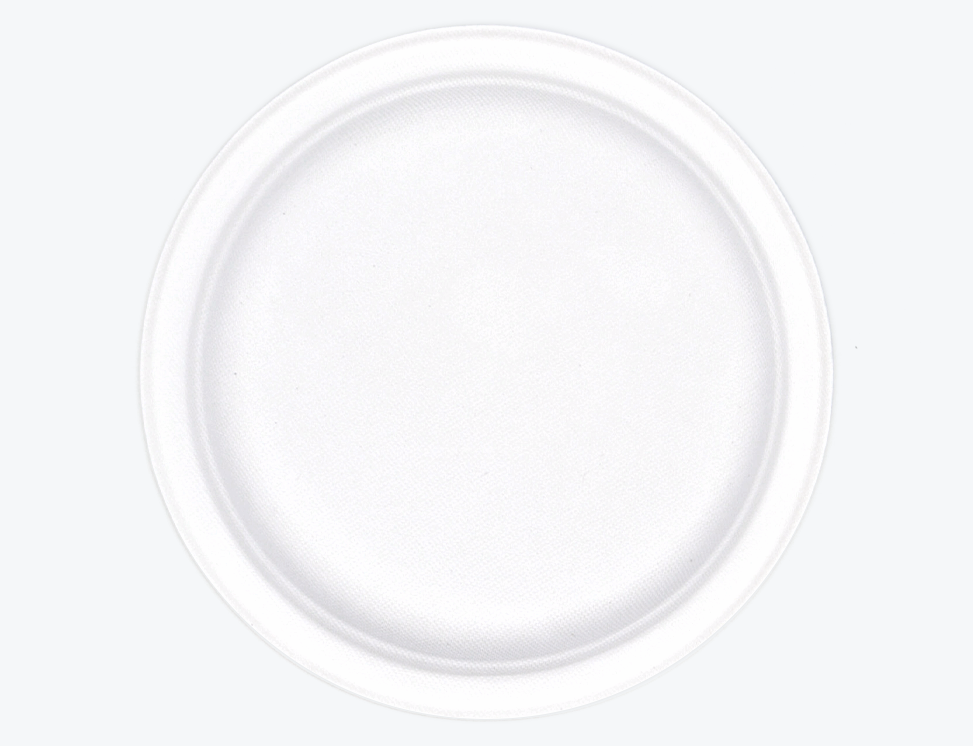 9" Round Plate
