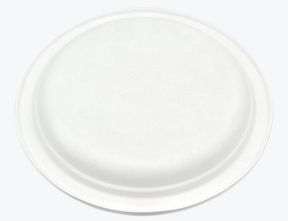 9" Round Plate