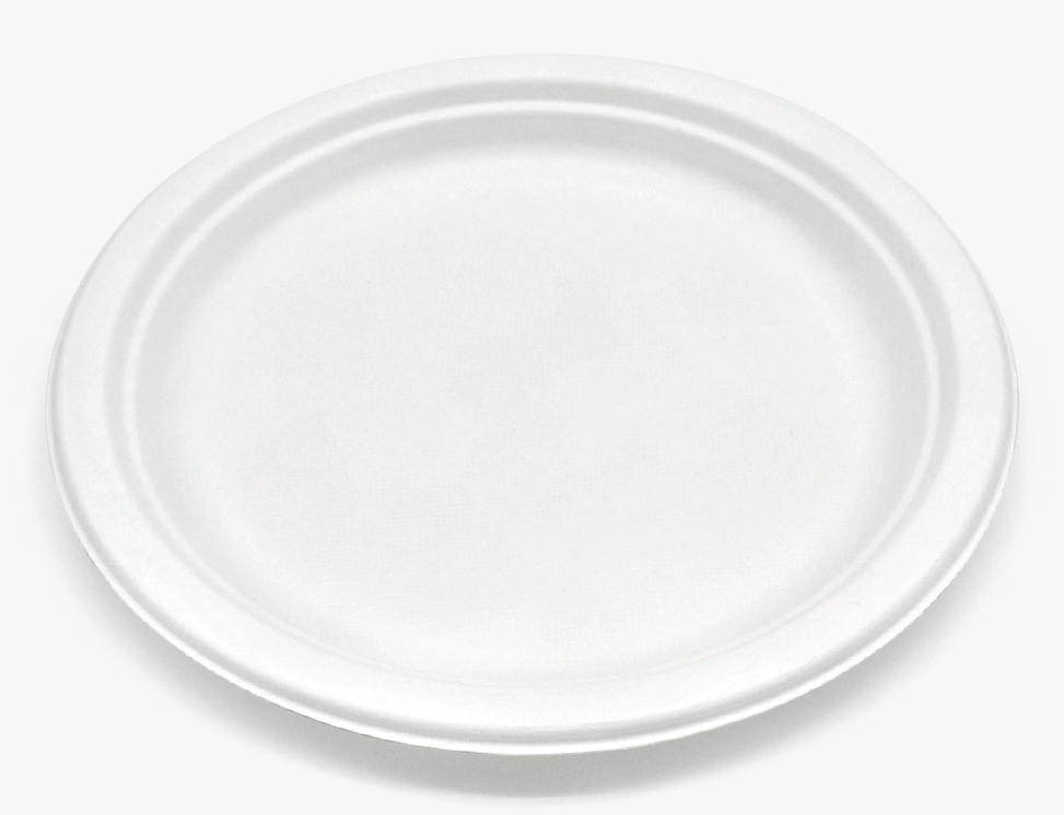 9" Round Plate
