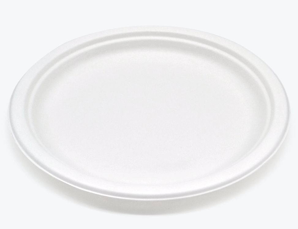 10" Round Plate