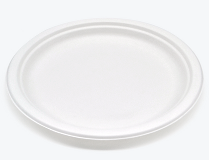 10" Round Plate